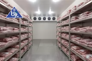 Solusi Cold Storage Industri: Menjaga Produk Anda Tetap Aman dan Segar